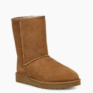 UGG classic short boot, size 8 in the color chestnut